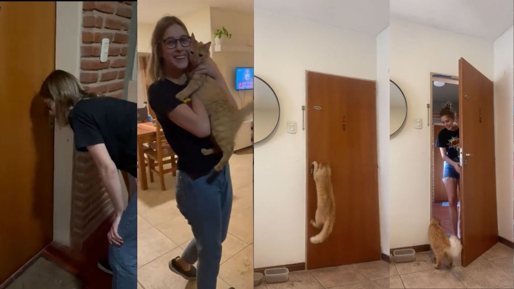 _portada bioguia (21) _portada bioguia (21)