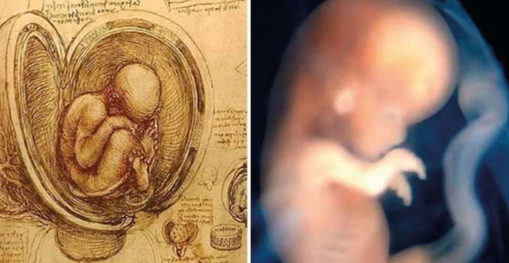 teoria-karmica teoria-karmica