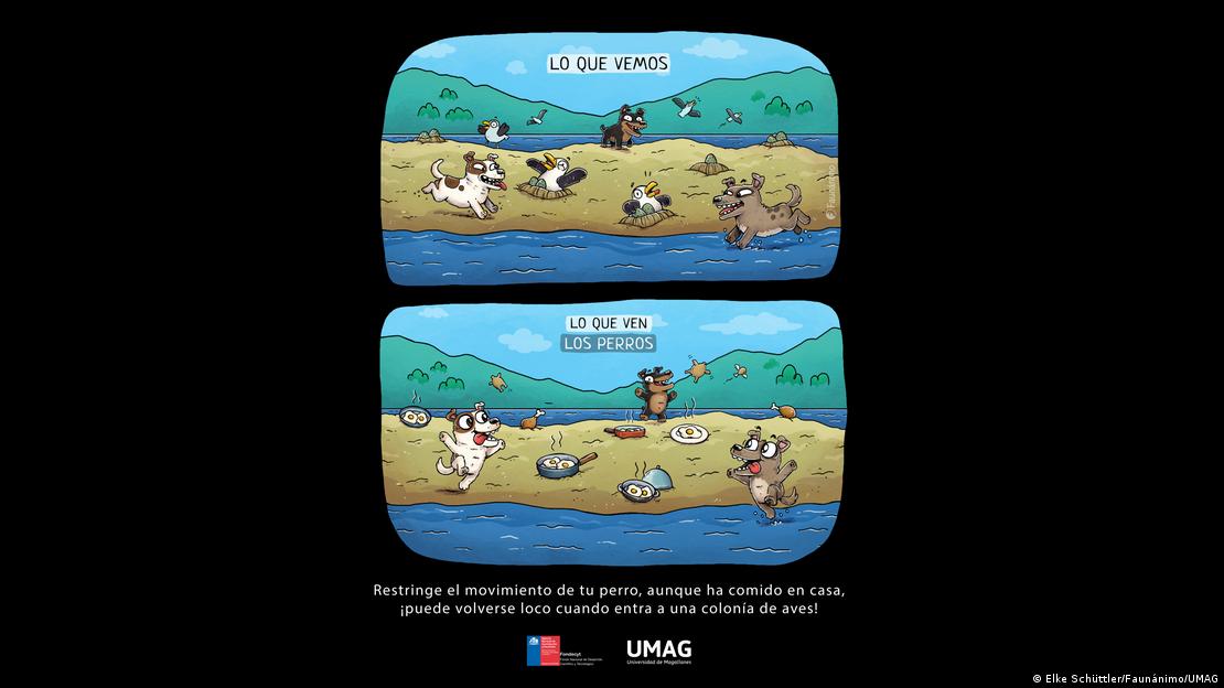 68910931_906 68910931_906