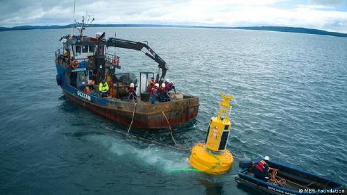 63556313_303 63556313_303