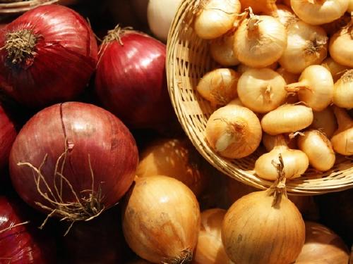 cebollas2.jpg cebollas2.jpg