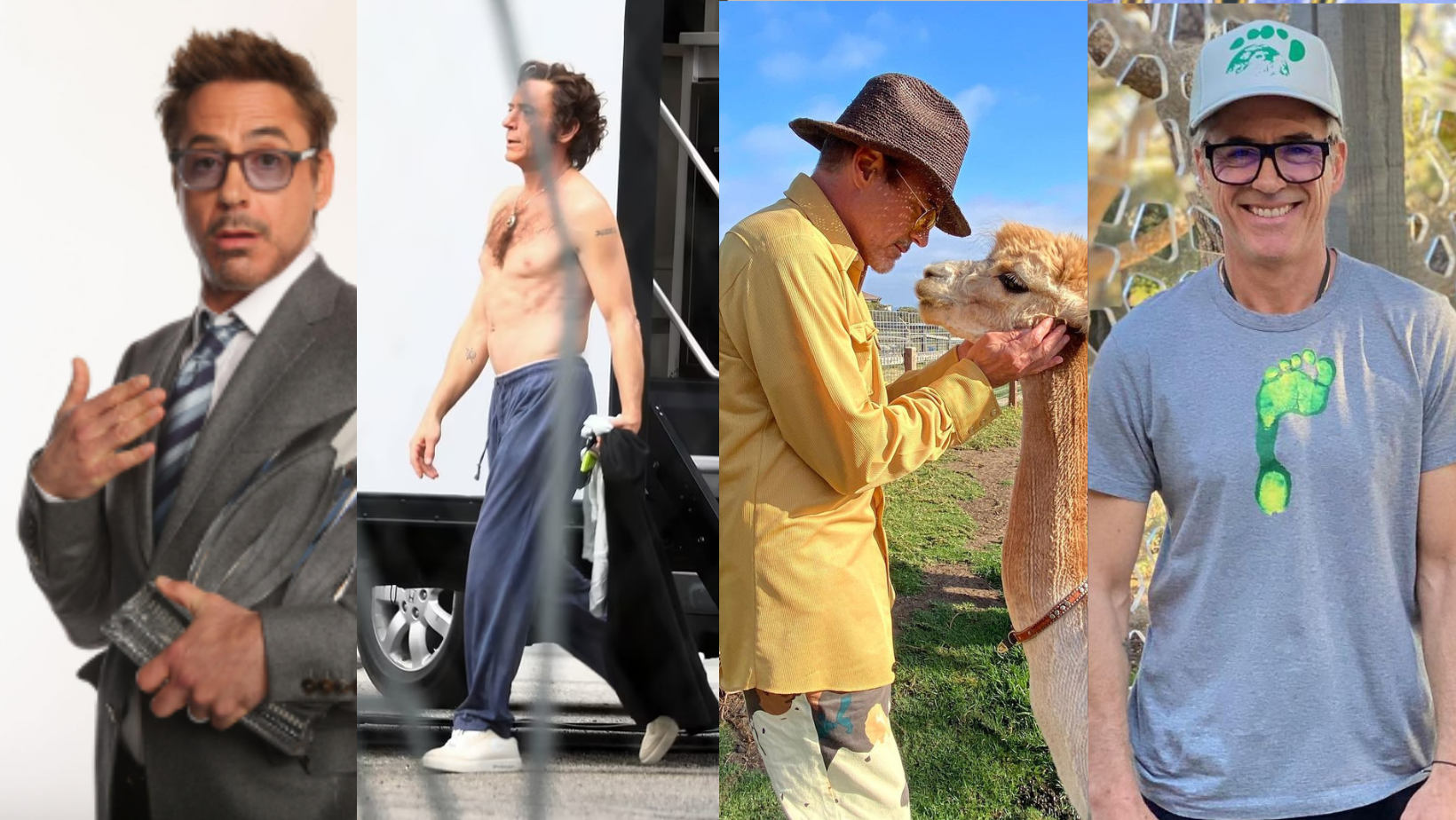 _portada bioguia 2023 01 23T163311.756 _portada bioguia 2023 01 23T163311.756