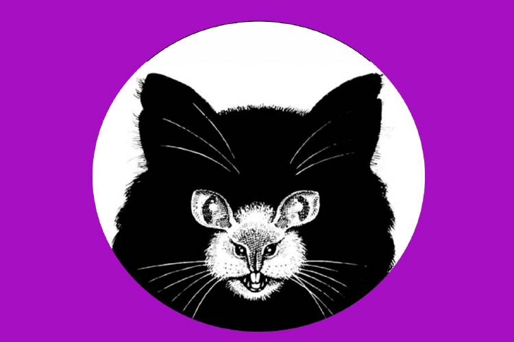 test gato rata Test de personalidad sexual