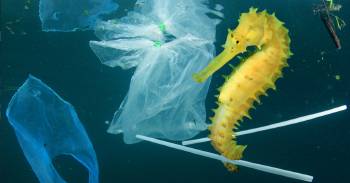 Este proyecto busca eliminar el 90 % del plástico de los océanos en 22 años