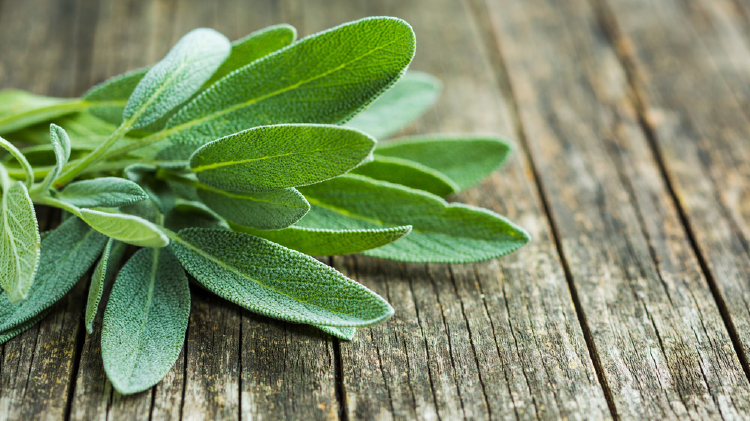 Salvia para desinfectar hojas de salvia verdes sobre una mesa de madera rústica