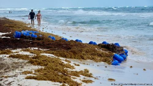 65449101_303 65449101_303