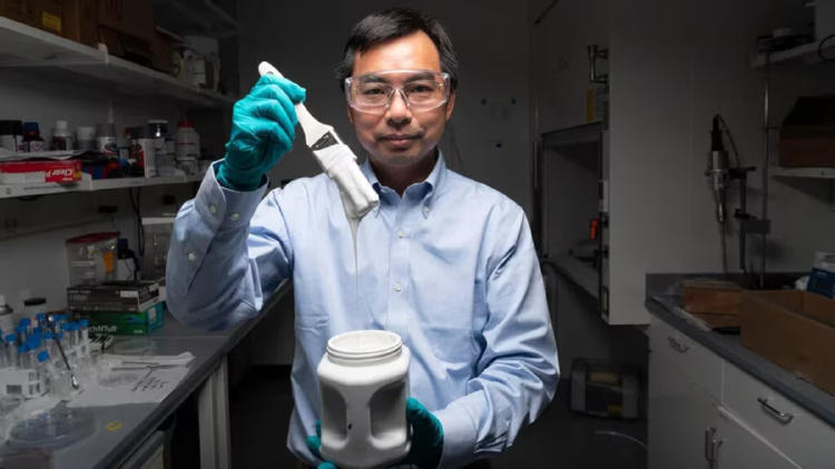 pintura blanca2 pintura blanca2