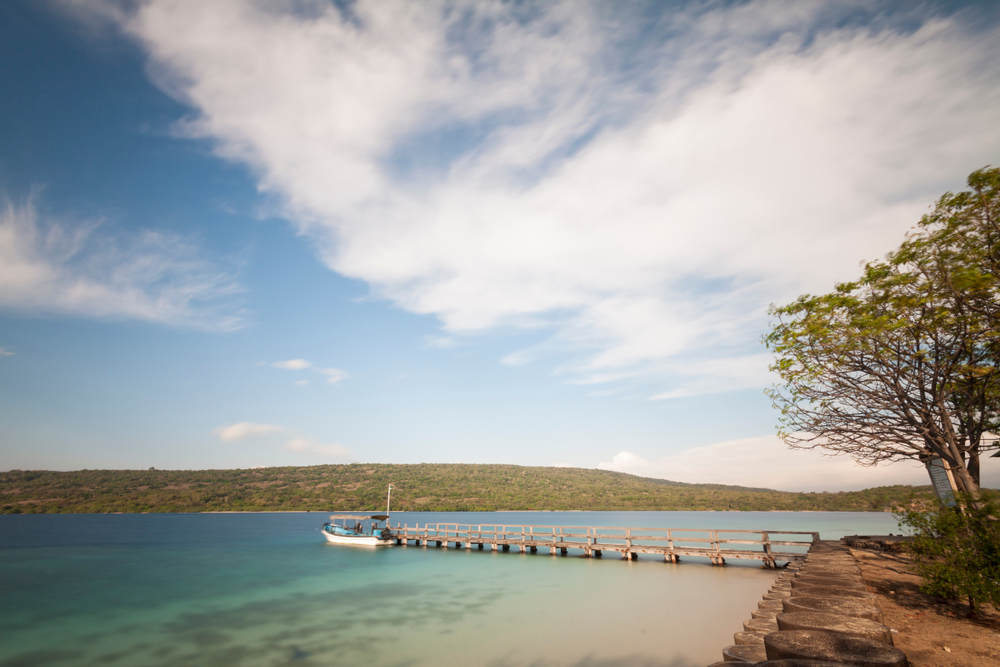 shutterstock_1140442712 shutterstock_1140442712.jpg