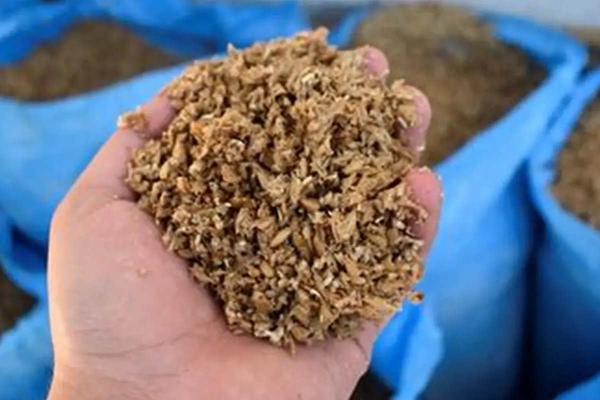 Imagen: antigua.bionoticias.cl