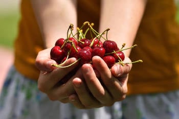 cerezas