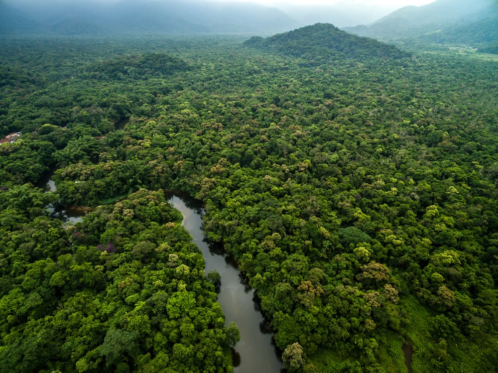 amazonas