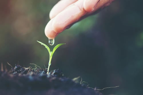 Crean agua en polvo, una nueva tecnología de sostenibilidad
