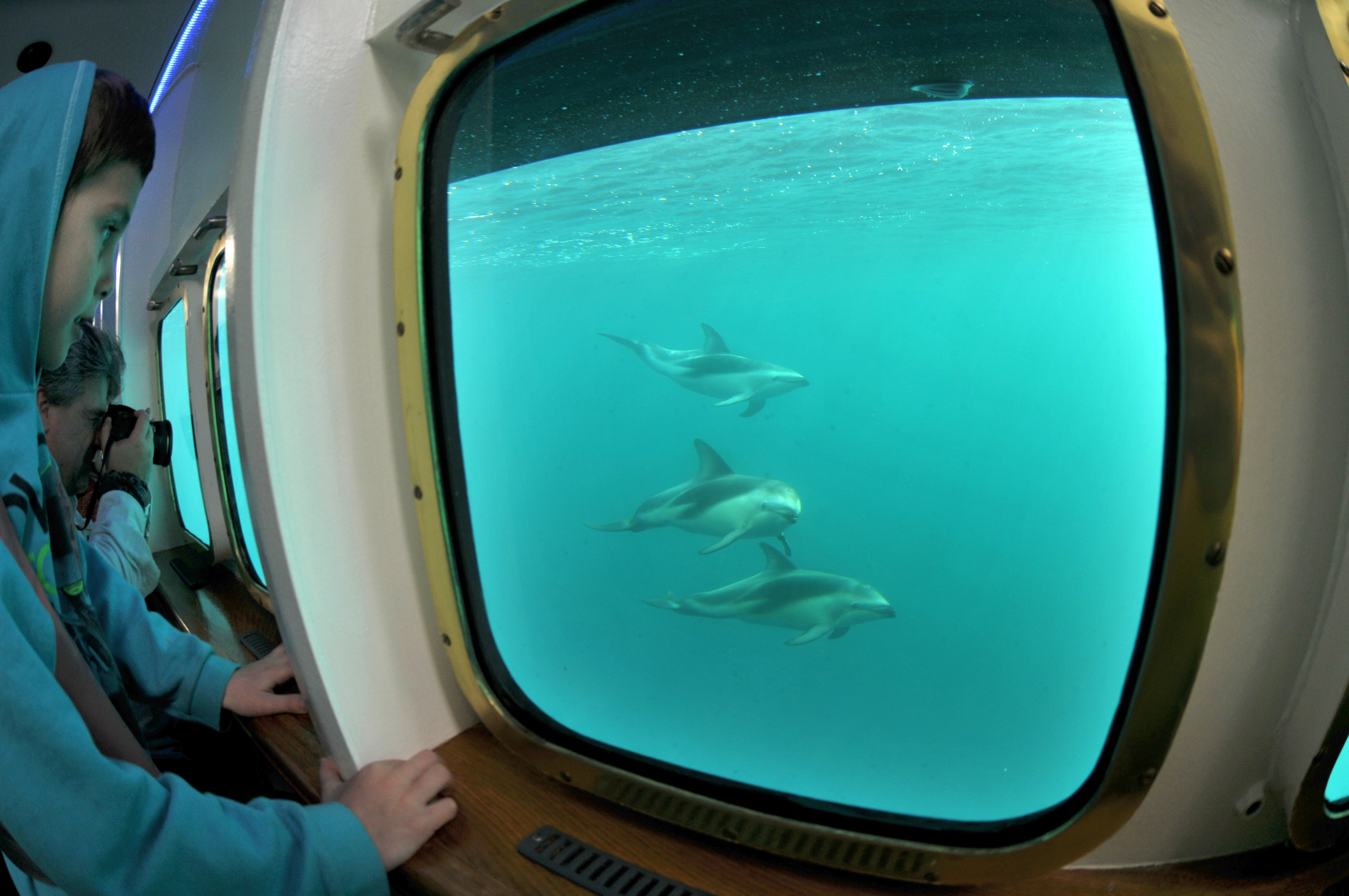 YS_delfines y niño YS_delfines y niño