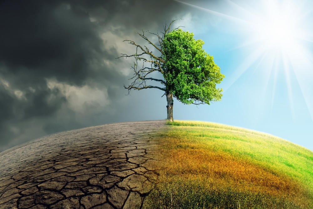 ¿Sabes que es el impacto ambiental? Hoy te contamos todo lo que ...