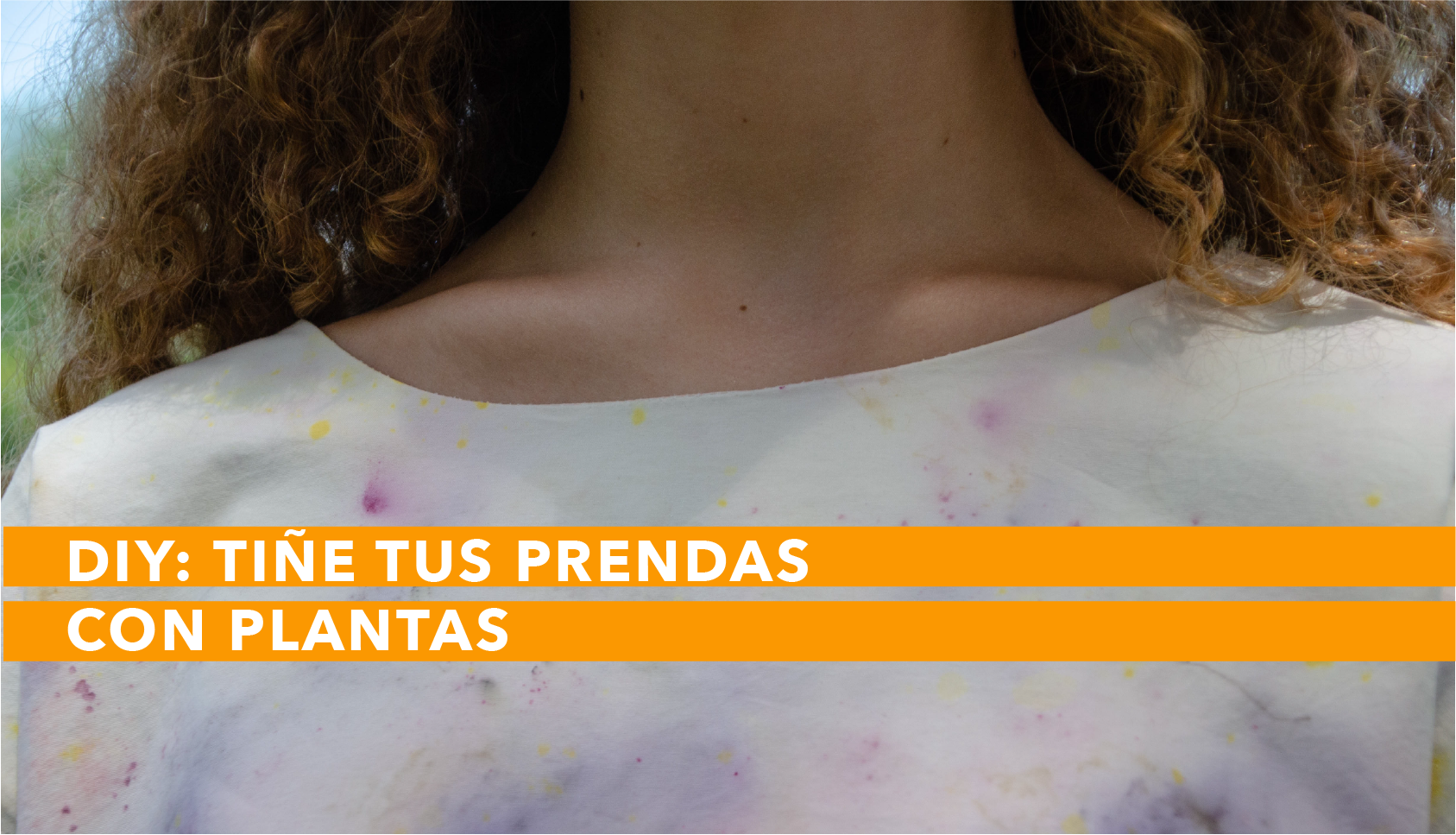 bioguia_diyplantas@1.5x bioguia_diyplantas@1.5x