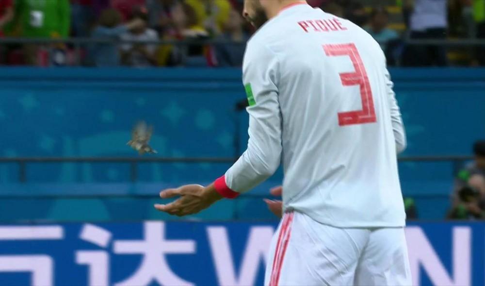 Minutos antes, Gerard Piqué, también jugador de la selección española, había intentado sin éxito sacar al pájaro del campo