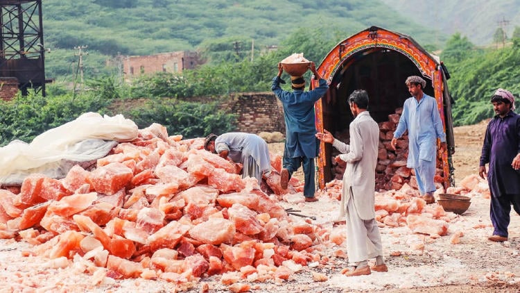 sal del himalaya2 sal del himalaya2