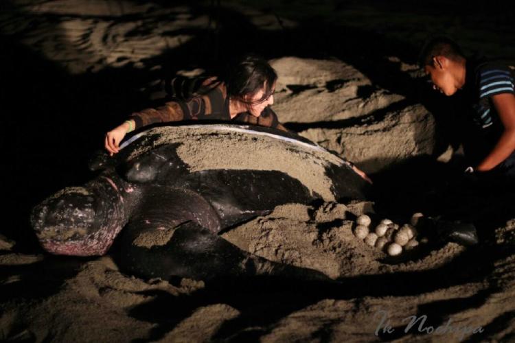 Foto Carlos Salas Mexico 1 Foto Carlos Salas Mexico 1