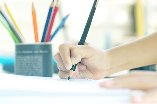 Niño dibuja seres vivos y no vivos Niño dibuja seres vivos y no vivos