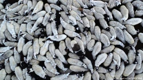 63875104 401 63875104 401