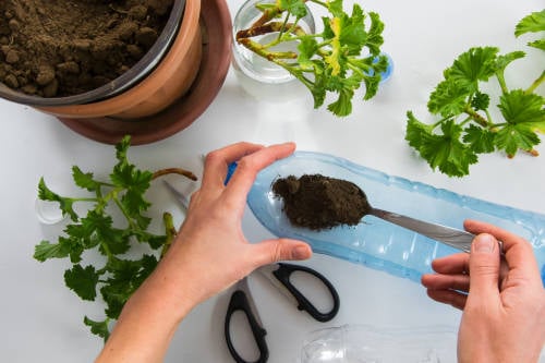 reutilizar botellas de plastico reutilizar botellas de plastico y crear macetas