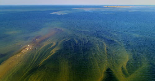 Blob: la extraña masa de agua caliente que aparece en la costa de California