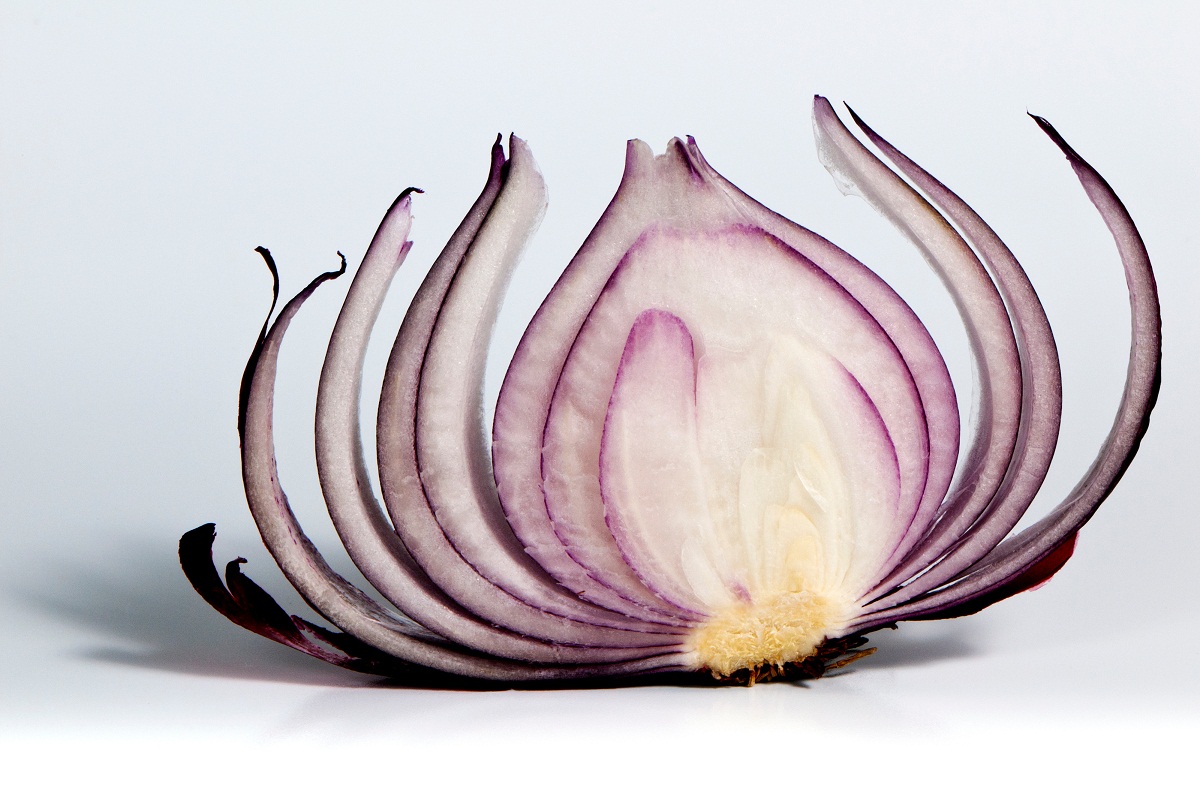 Piel de cebolla 1 Piel de cebolla