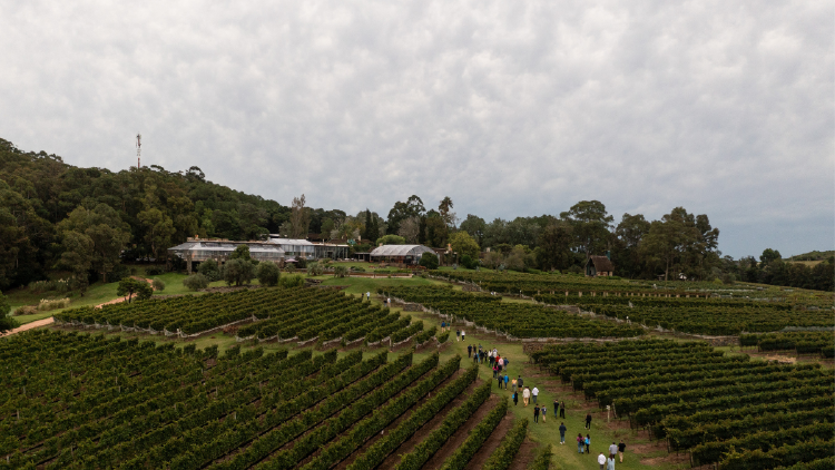 Impact Trade Center Los participantes tendrán la oportunidad de explorar oportunidades comerciales, conectar con aliados estratégicos y profundizar en tácticas en pos de causar repercusión en el país.