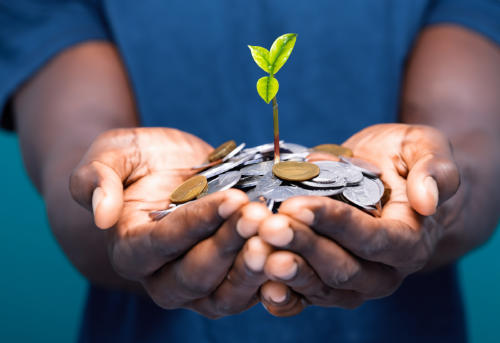 dinero naturaleza AdobeStock_626942799 dinero naturaleza AdobeStock_626942799