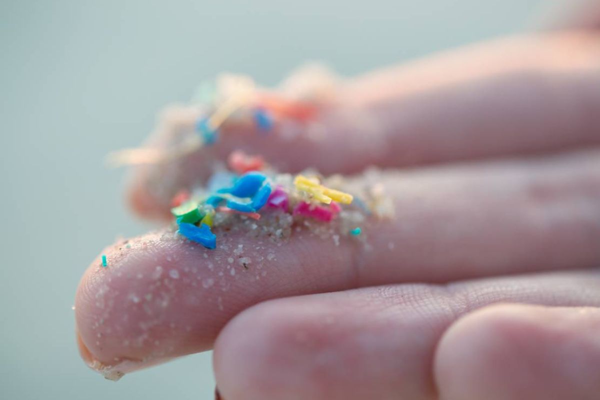 La principal vía de exposición a los microplásticos es la ingestión a través de alimentos, pero también inhalamos partículas presentes en el aire y consumimos bebidas contaminadas. (greenmatters.com)