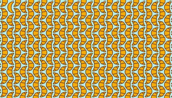 VS6PXEHRPFEGFH4MPD4NLTMZEM VS6PXEHRPFEGFH4MPD4NLTMZEM