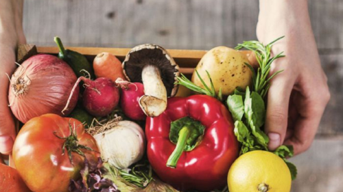 alimentos orgánicos alimentos orgánicos