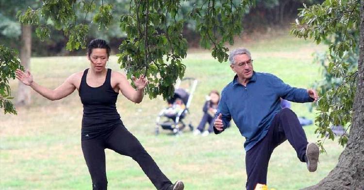 robert de niro taichi 2