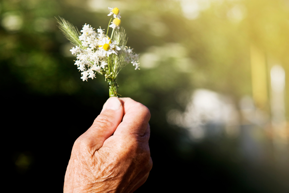 musicoterapia en adultos mayores musicoterapia en adultos mayores