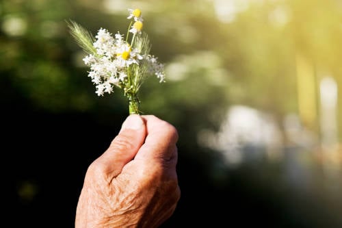musicoterapia en adultos mayores musicoterapia en adultos mayores