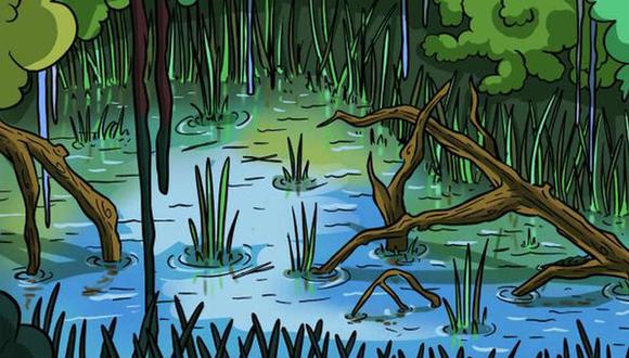 acertijo cocodrilo acertijo cocodrilo