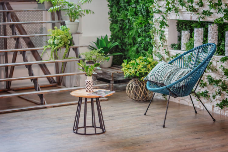 living plantas Un living con plantas