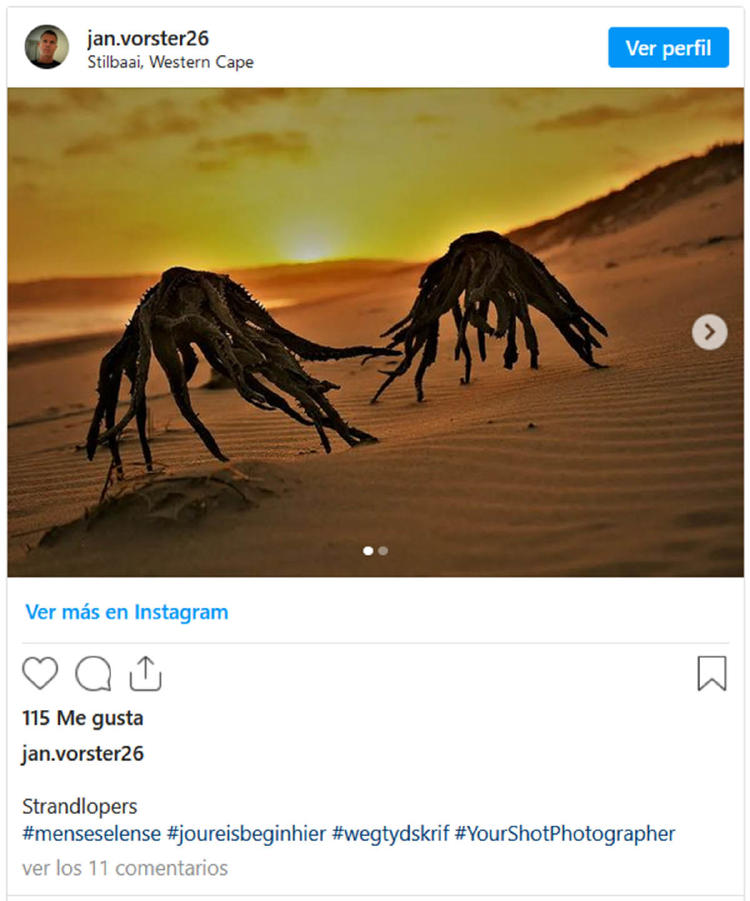 extraterrestres sudáfrica extraterrestres sudáfrica