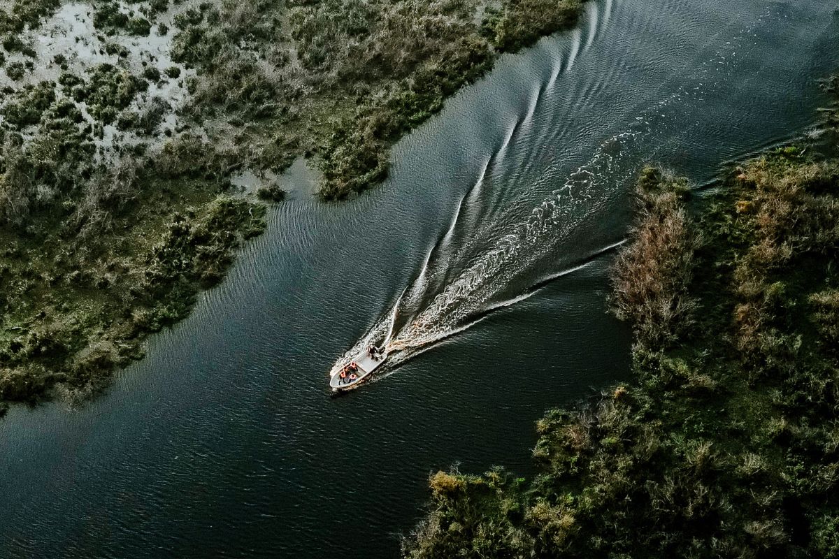 Esteros del Iberá es mucho más que una reserva natural: son uno de los humedales más grandes del planeta, con más de 1.600 especies de flora y fauna, y un entorno virgen donde la vida silvestre se despliega sin artificios.