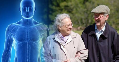 Descubre cómo el tamaño del cuerpo influye en la esperanza de vida