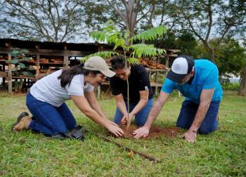 Día trinacional del Bosque Atlantico plantación de árboles