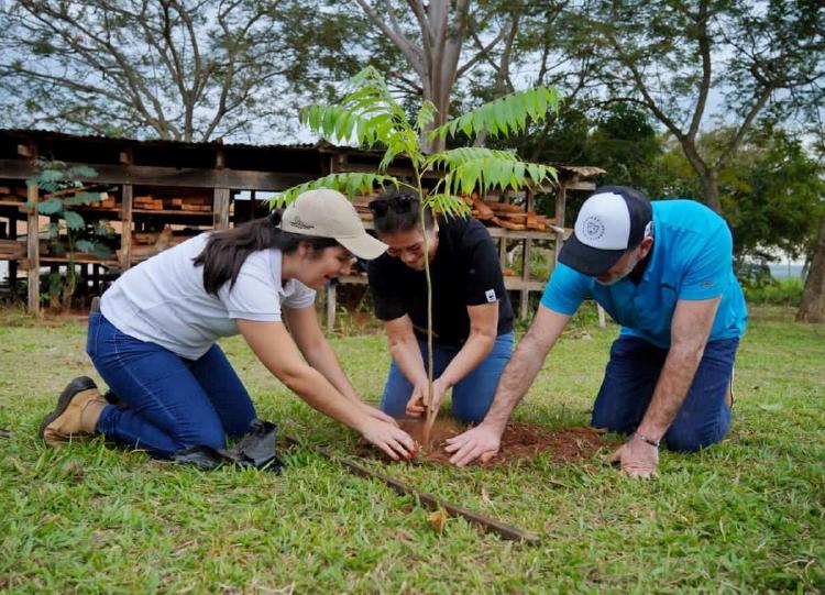 Día trinacional del Bosque Atlantico plantación de árboles Día trinacional del Bosque Atlantico plantación de árboles