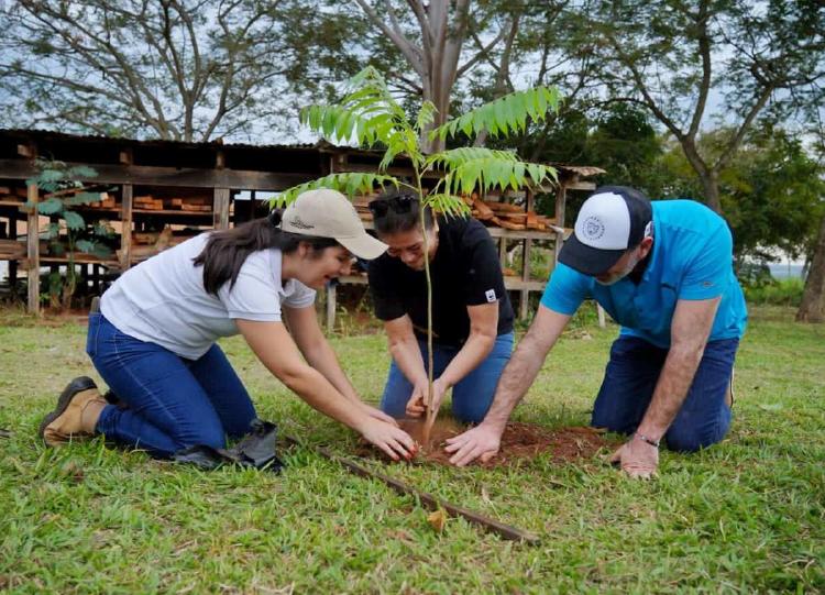 Día trinacional del Bosque Atlantico plantación de árboles