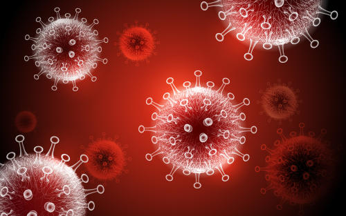 Las bacterias de nuestro sistema gastrointestinal, aliadas contra la COVID-19