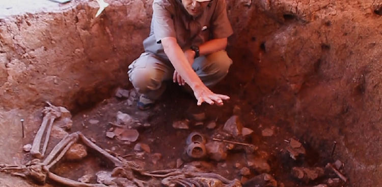 64ecb0aaf3900 64ecb0aaf3900