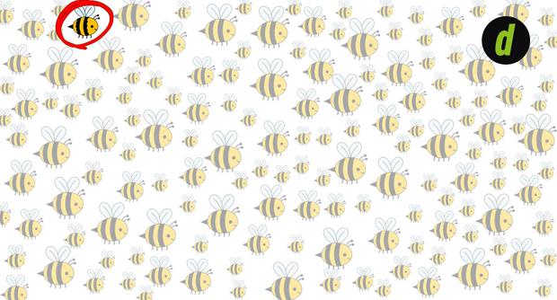 solucion-reto solucion-reto