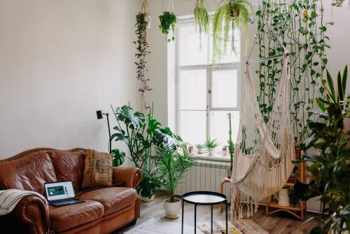 Foto de Ksenia Chernaya en Pexels Decoración urban jungle plantas de interior