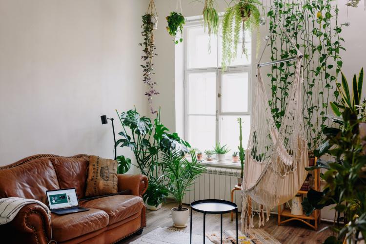 Foto de Ksenia Chernaya en Pexels Decoración urban jungle plantas de interior