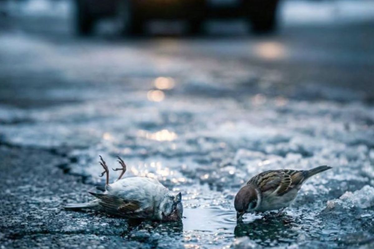 Imagen: Universo sorprendente