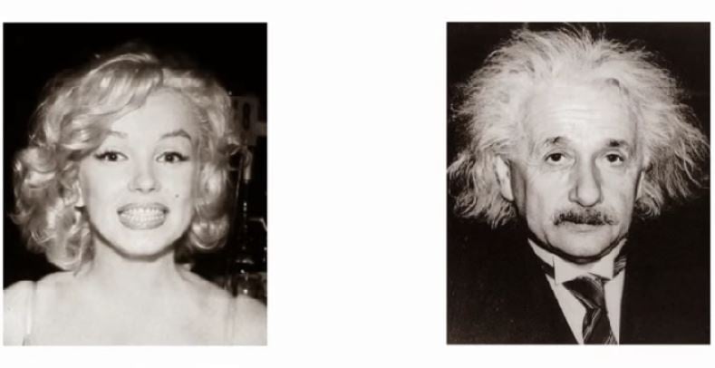 Test vizual – Unii îl văd pe Einstein, alţii pe Marilyn Monroe - Test de vedere einstein monroe